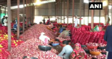 onion price