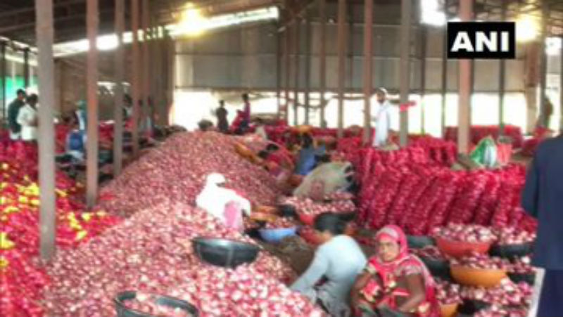 onion price
