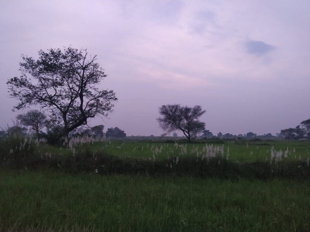 lokjanya.com