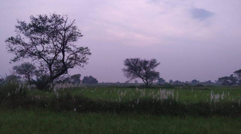 lokjanya.com