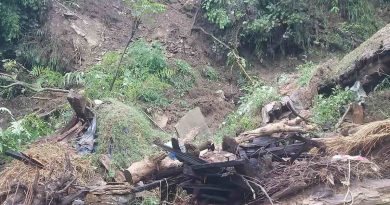 Video cloudburst in Ramban